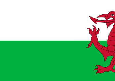 flag