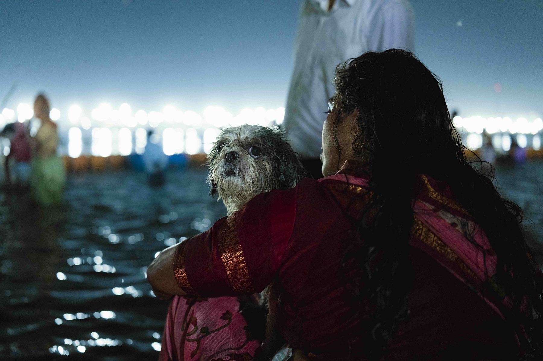 Person carrying dog through water.