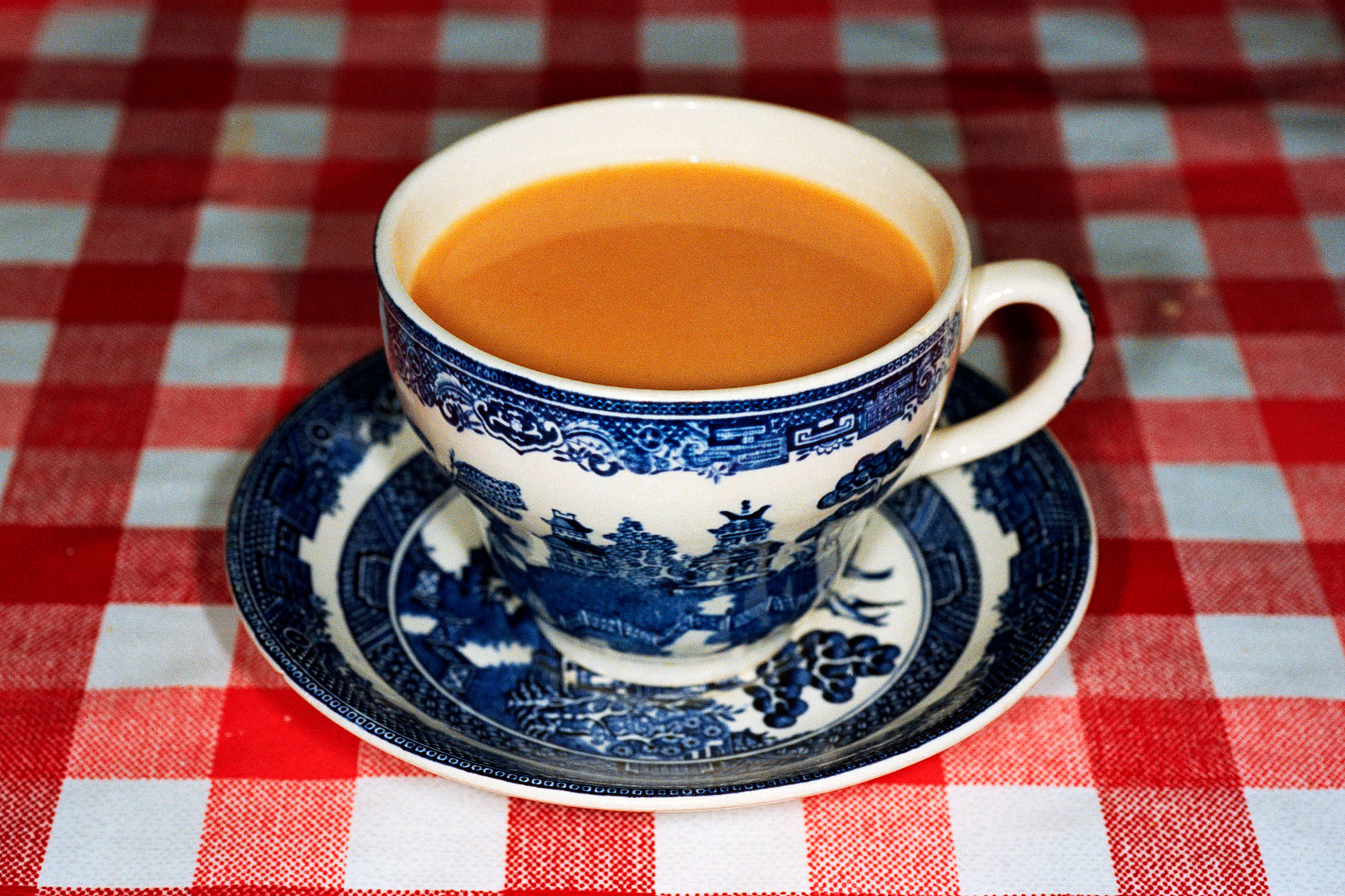 Photograph showing china tea cup containing tea on red and white checkered tablecloth.