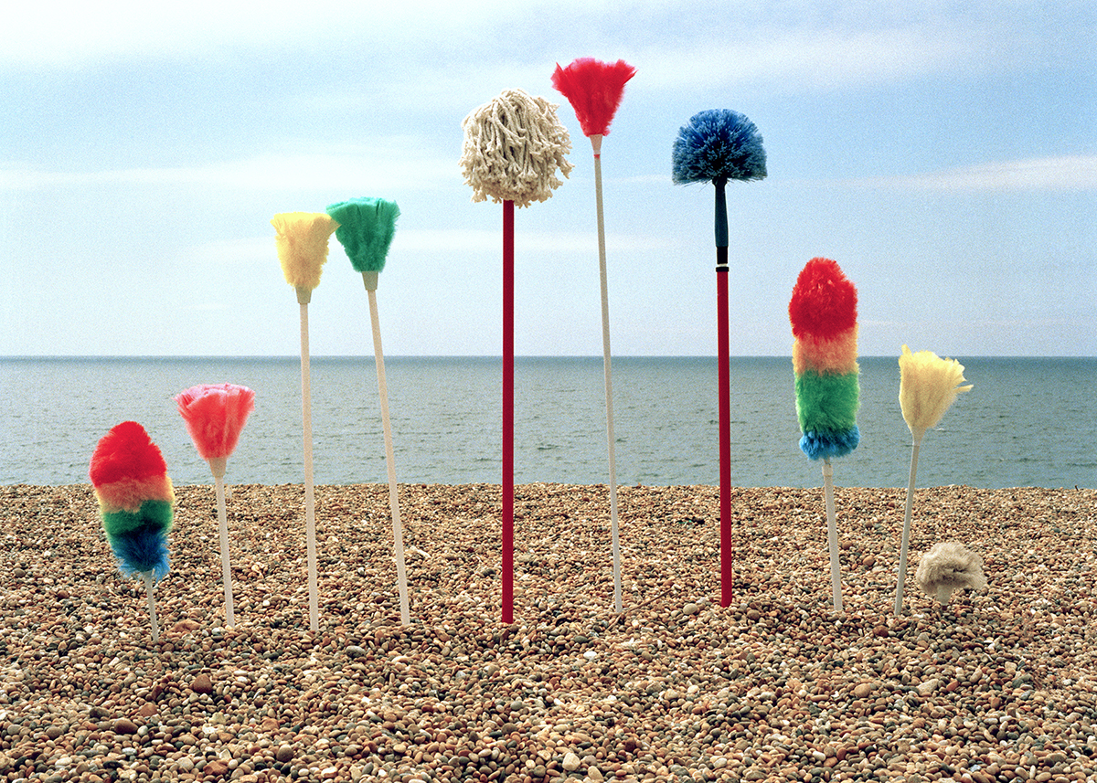web When_the_Domestic_Meets_the_Wild_Beachclean_1999 copy 2